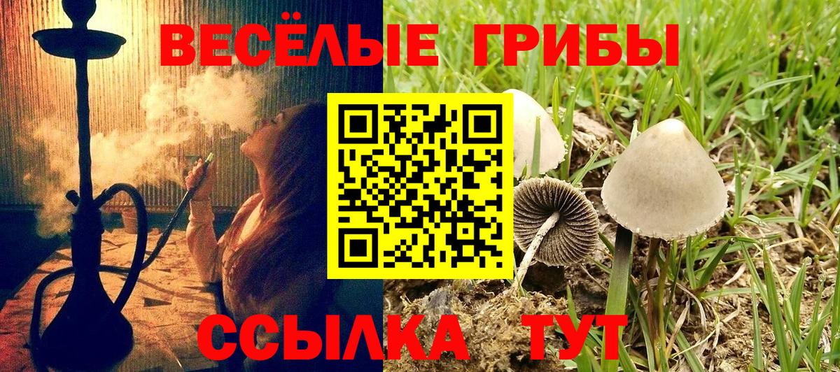 Галлюциногенные грибы ЛСД Батайск