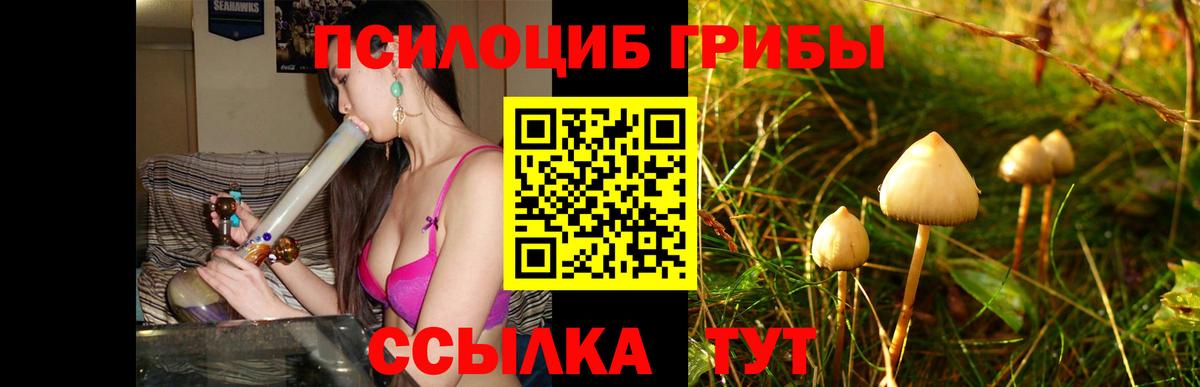Галлюциногенные грибы ЛСД  Вход с VPN  Батайск 